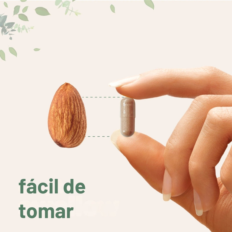 MicroIngredients - Capsulas para el higado