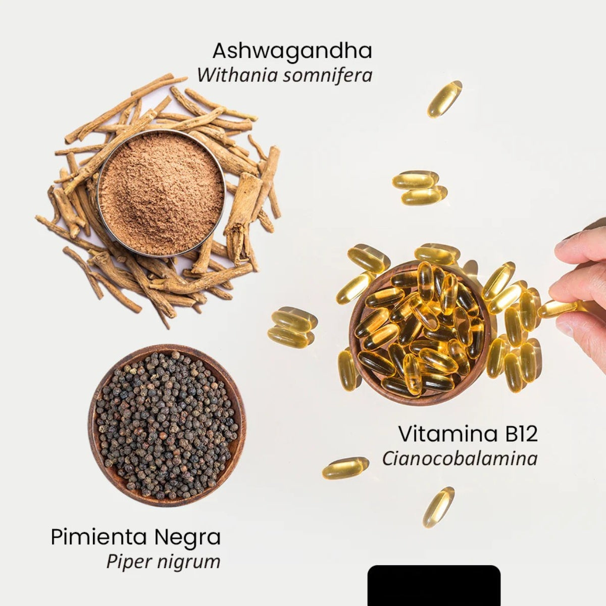 Ashwagandha 1000 mg Alivia el estrés y la ansiedad