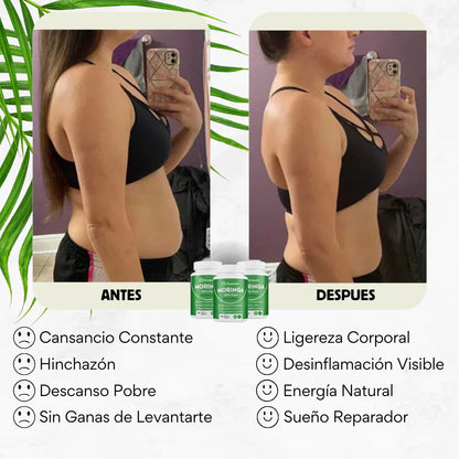 Rosabella Moringa™ - Recupera tu Vitalidad